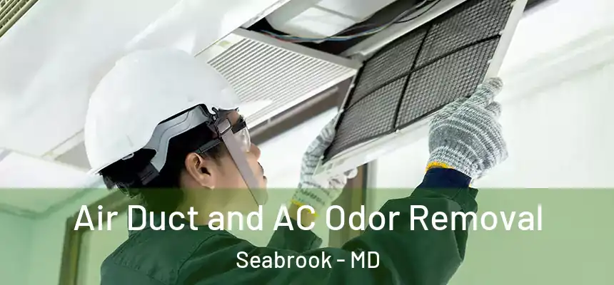  Air Duct and AC Odor Removal Seabrook - MD