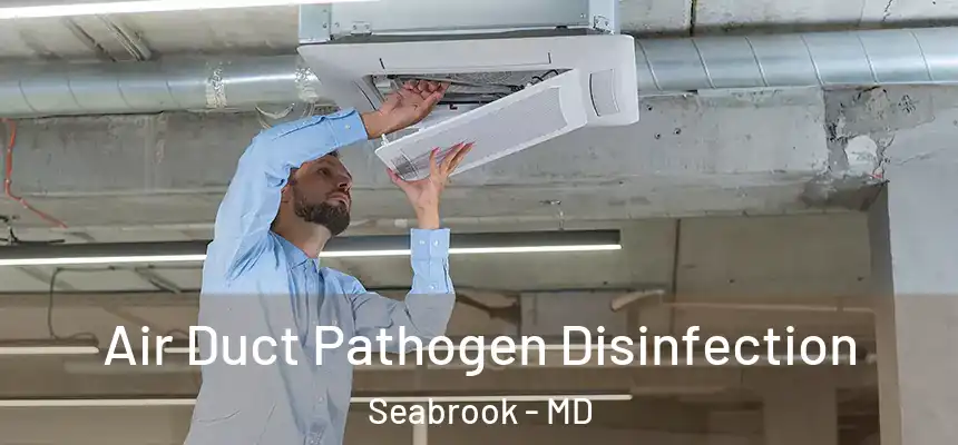  Air Duct Pathogen Disinfection Seabrook - MD