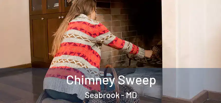  Chimney Sweep Seabrook - MD