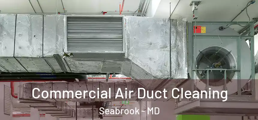  Commercial Air Duct Cleaning Seabrook - MD