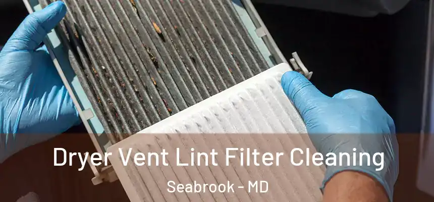  Dryer Vent Lint Filter Cleaning Seabrook - MD