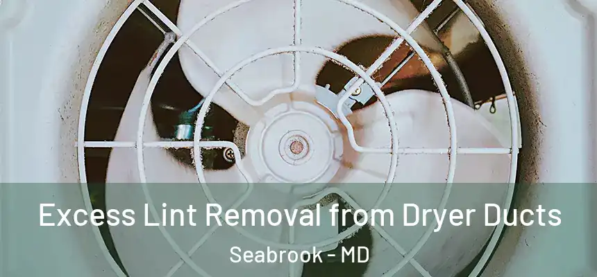  Excess Lint Removal from Dryer Ducts Seabrook - MD