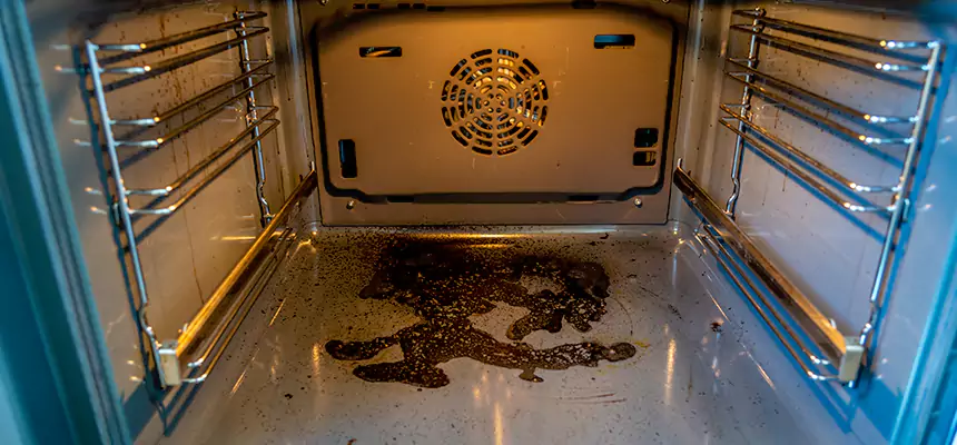 Our Dryer Vent Mold Cleaning Services in Seabrook, MD