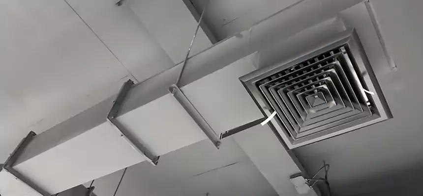 Our Rodent Droppings In Vents Services in Seabrook, MD