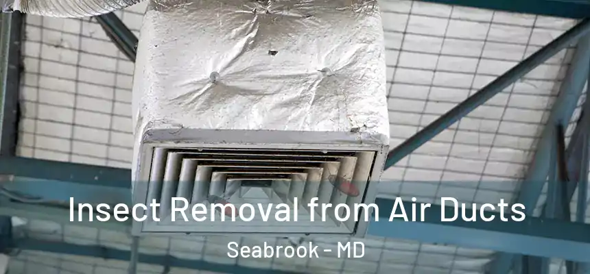  Insect Removal from Air Ducts Seabrook - MD