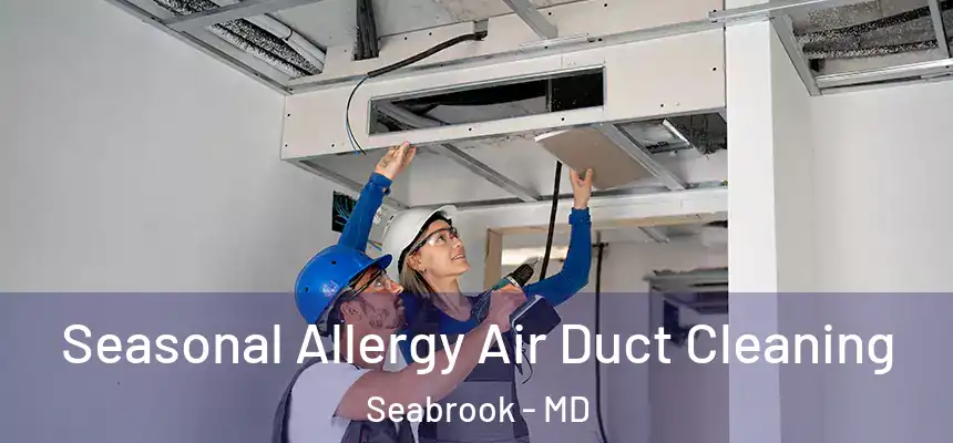  Seasonal Allergy Air Duct Cleaning Seabrook - MD
