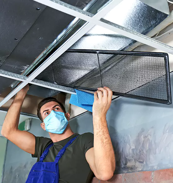 About Air Duct Bacteria Removal in Seabrook