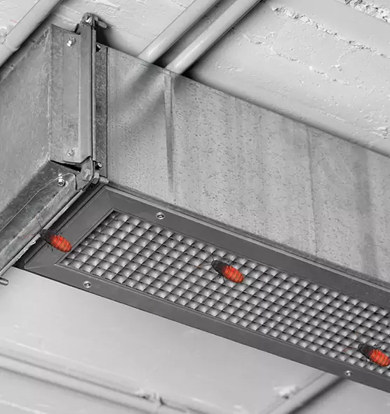 About Air Duct Cockroach Removal in Seabrook, MD