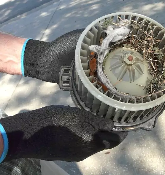 About Air Duct Mice Removal in Seabrook, MD