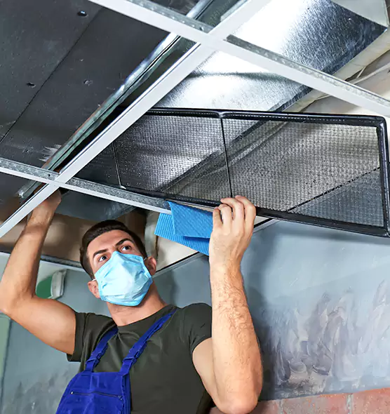 Professional Air Duct Pollen Cleaning in Seabrook, MD