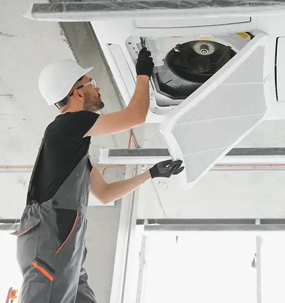 About Air Duct Rodent Removal in Seabrook, MD