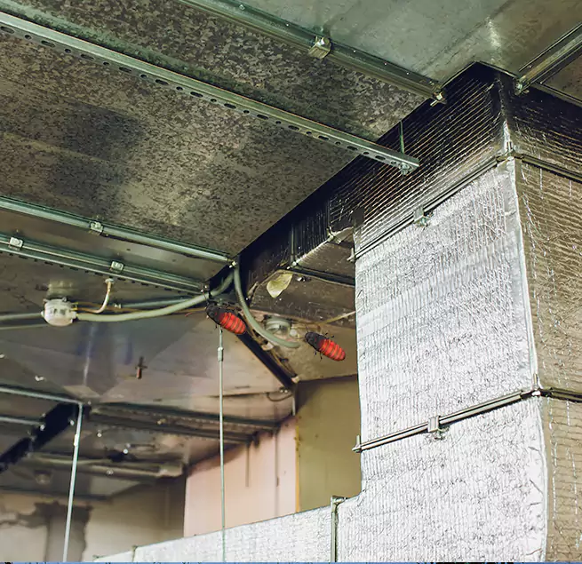 Why Homeowners & Businesses Trust Us in Seabrook, MD?